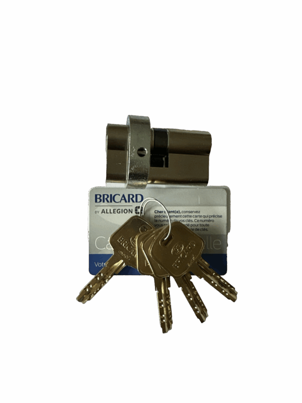 Cylindre Bricard serial A2P